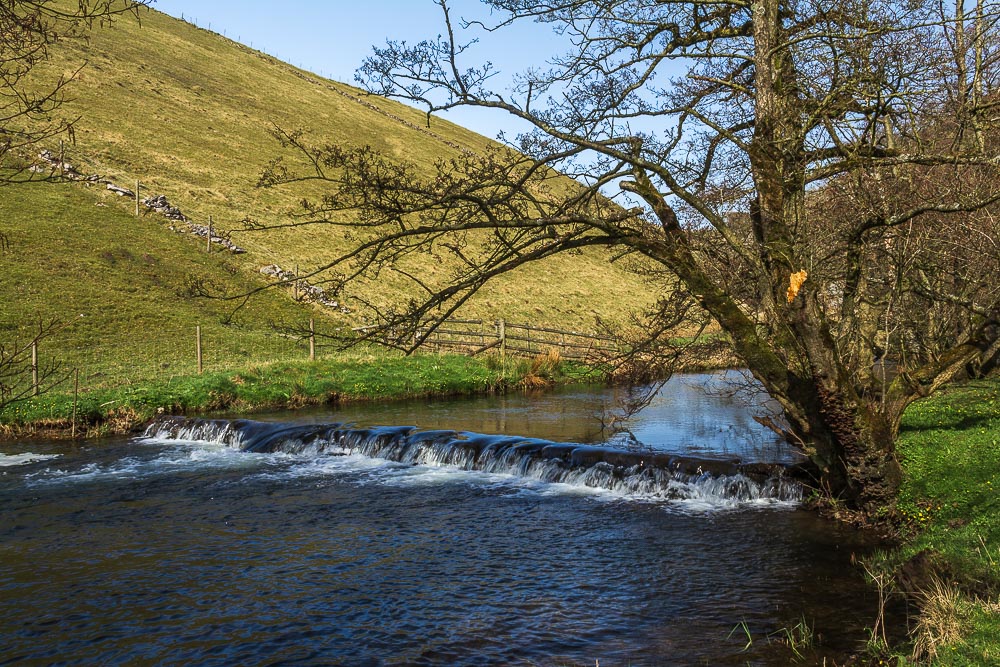 River Dove